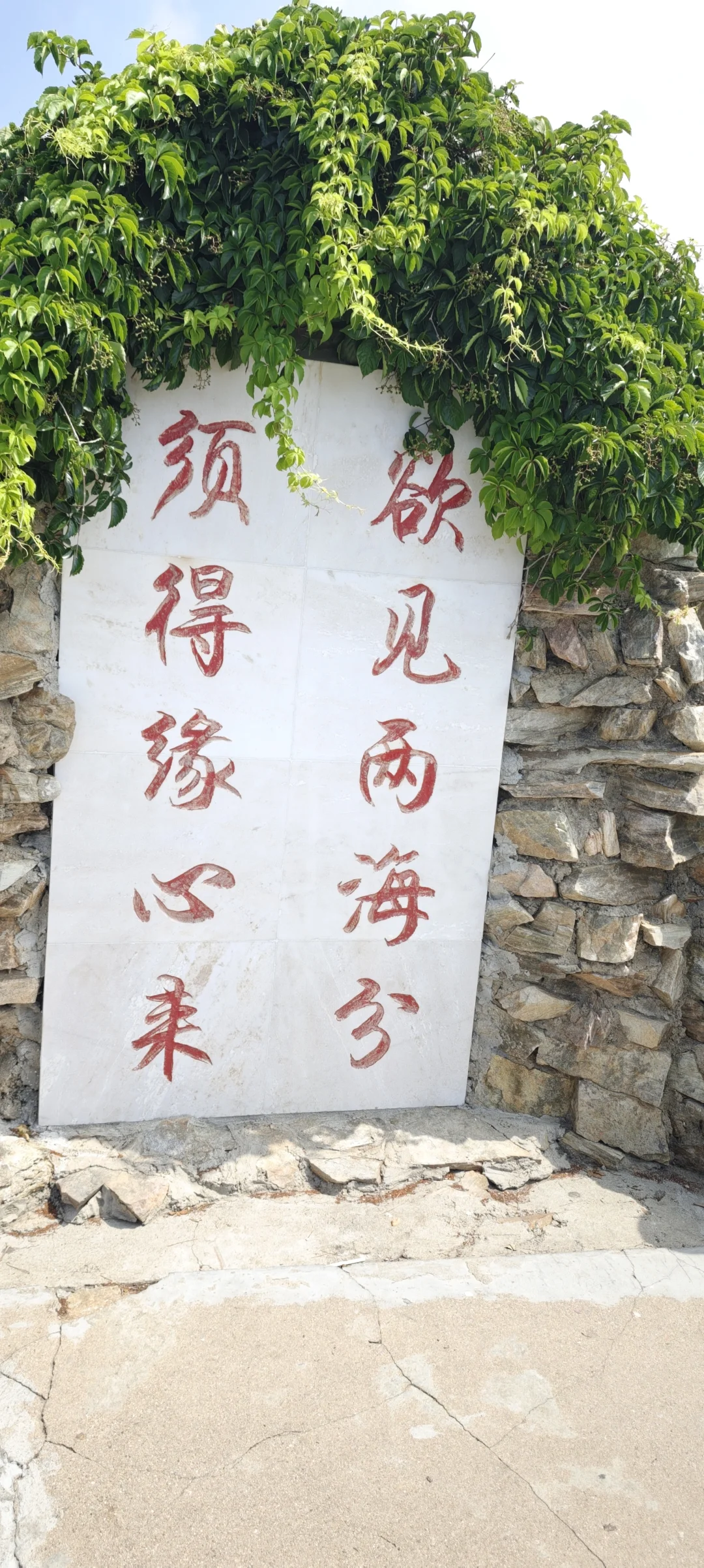 一步踏双海，一瞬似天涯。黄渤海分界线景区