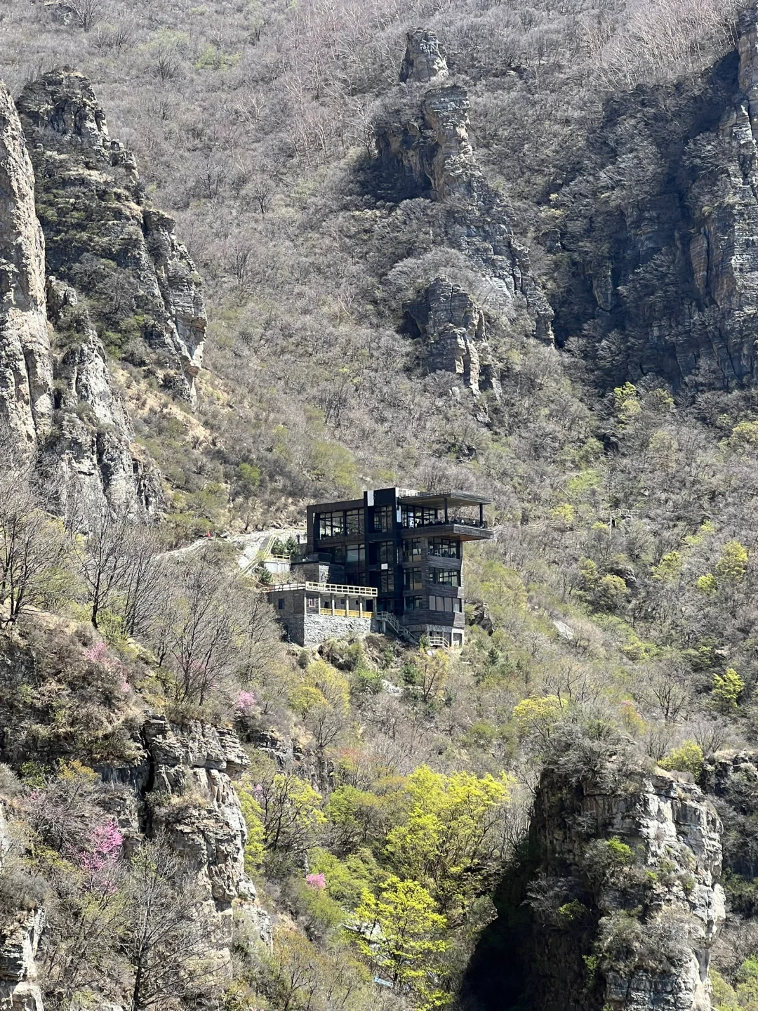 坐标📍：白石山！全LIVE图无滤镜