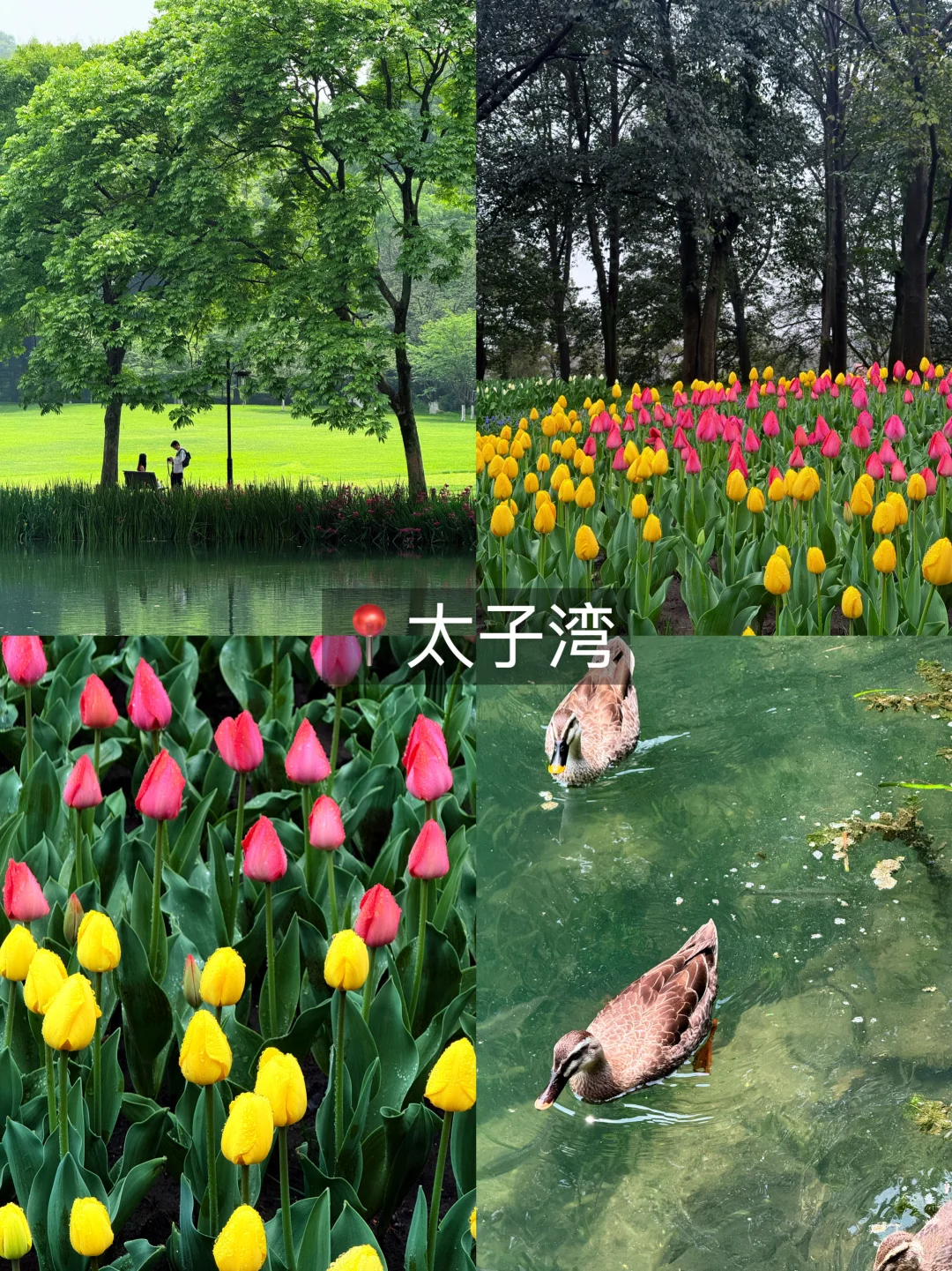 来杭州必去的9️⃣大景点（附攻略！！！
