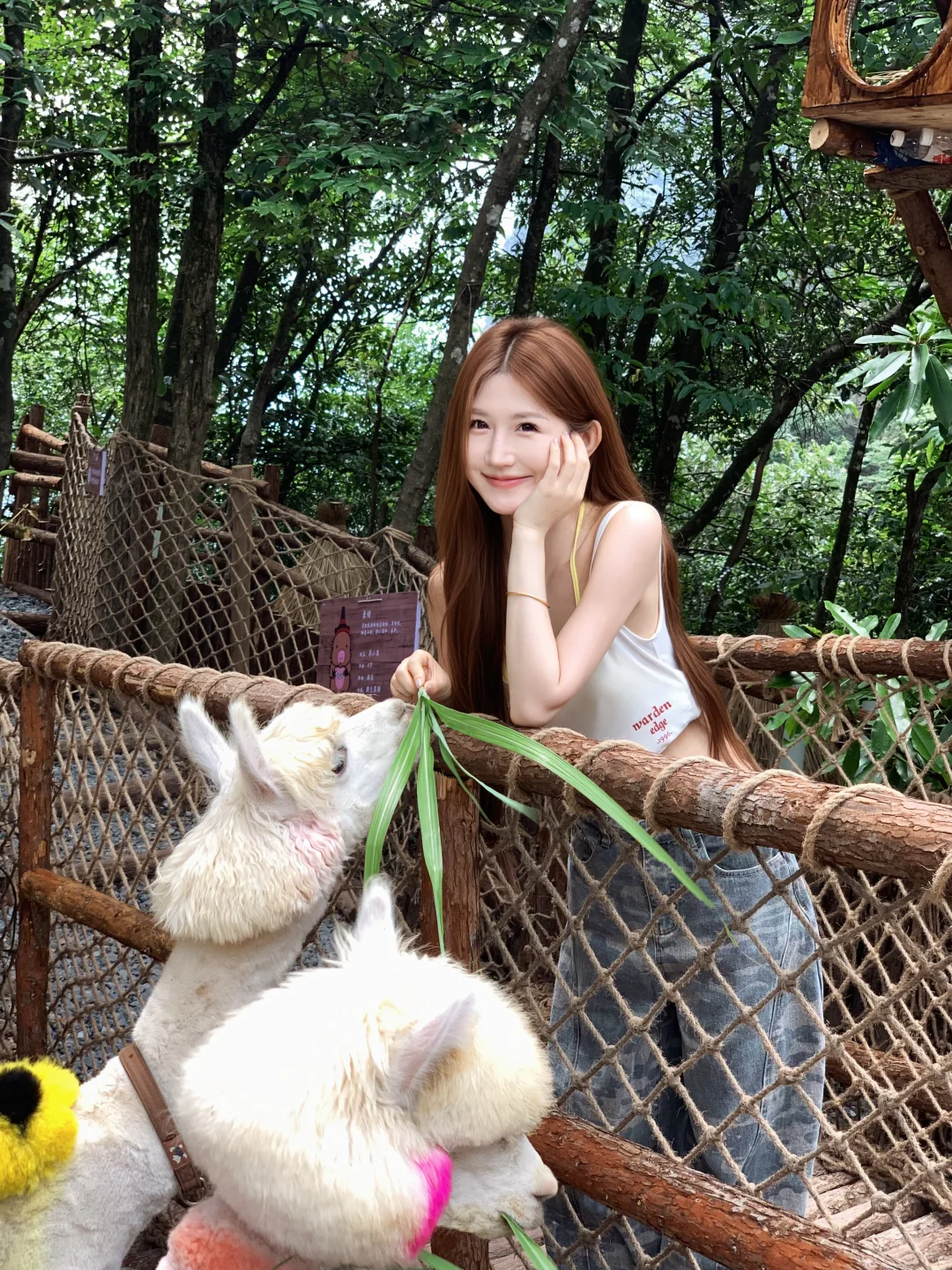 来山里避暑喽⛰️