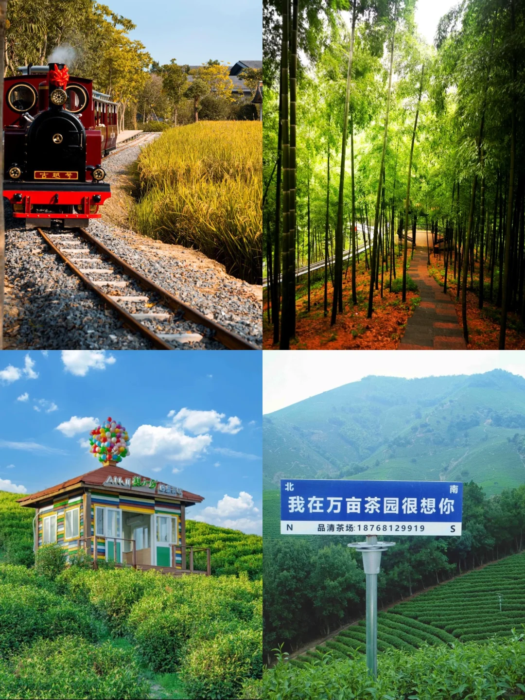 📍5.3安吉已回。。😭我都崩溃了