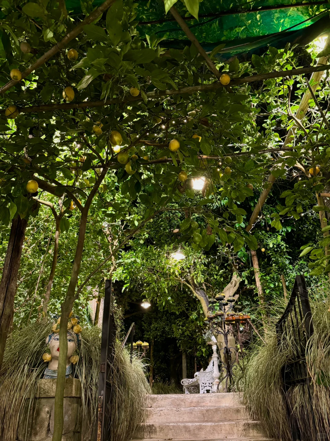 不想结束的南意夏日🍋Positano & Sorrento
