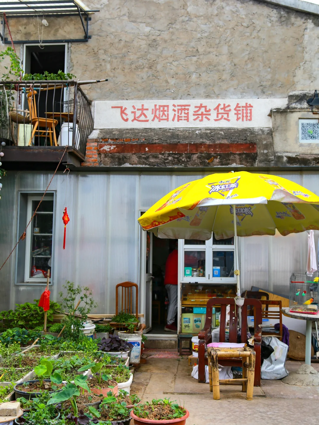 南京不花钱能玩一天的小众citywalk路线…