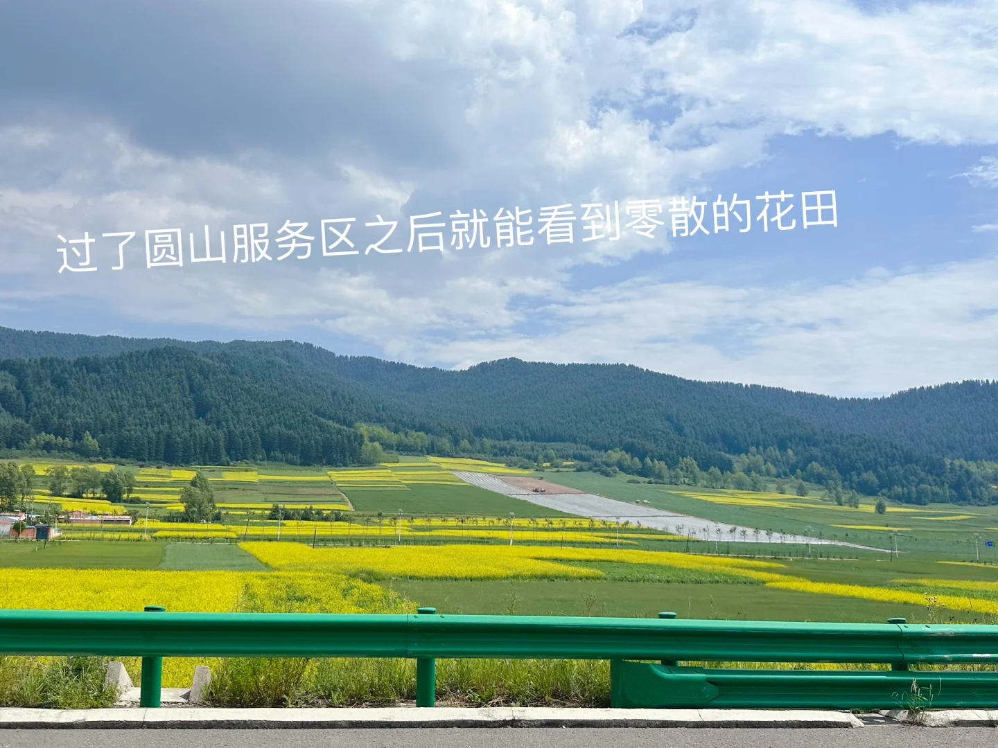 七月门源，大自然的顶级金色浪漫🧡🧡