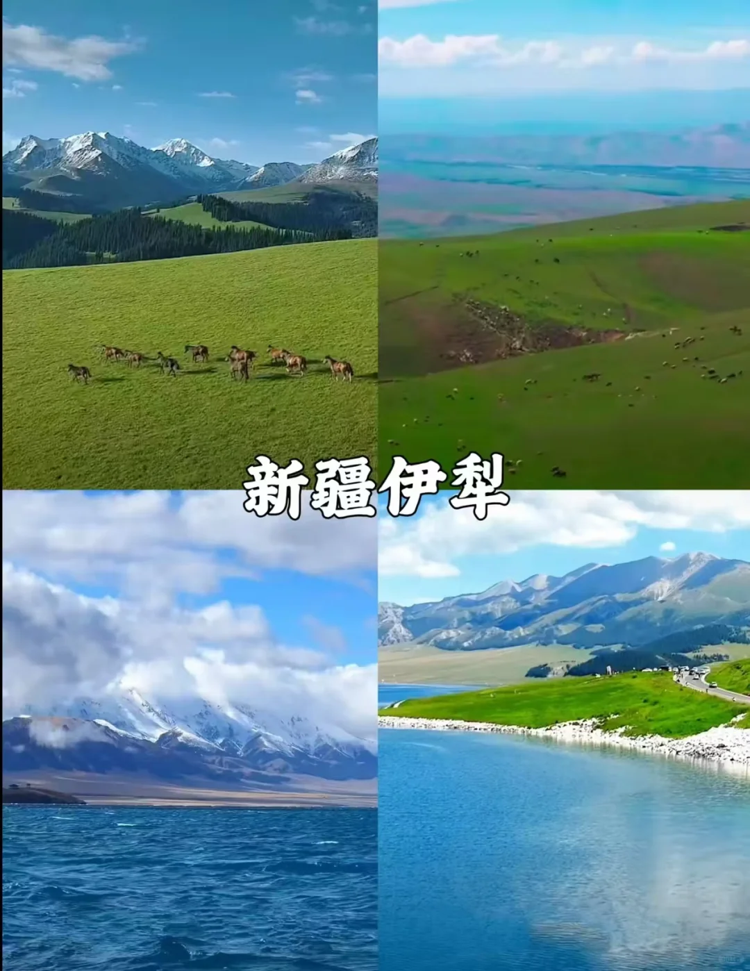 八月清凉秘籍：8大避暑胜地等你来
