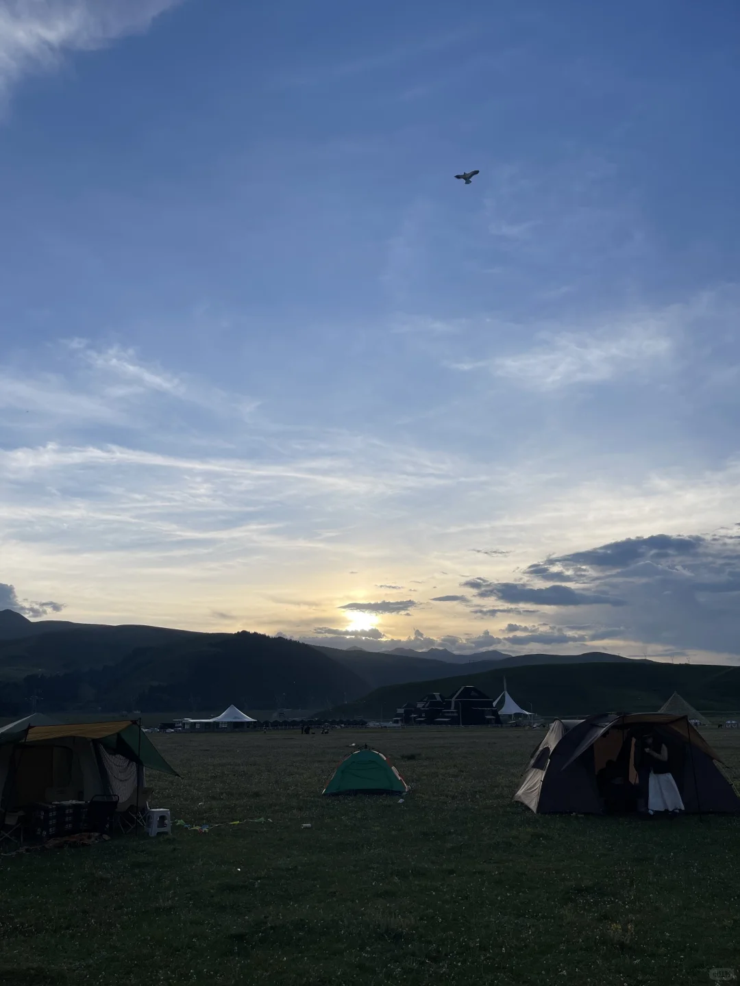 鲜为人知的旅游目的地之道孚县龙灯牧场