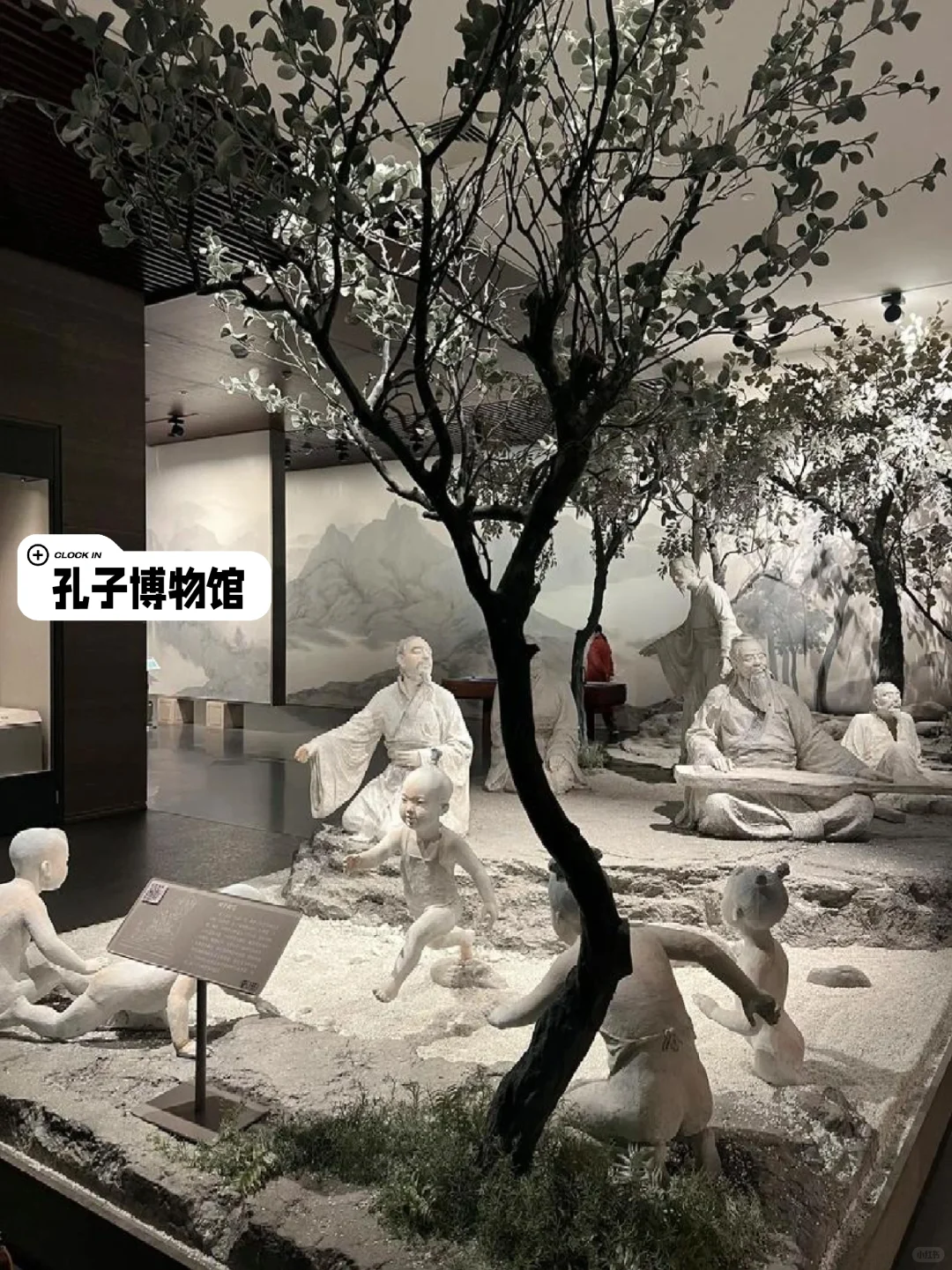 曲阜三大旅行地标超全PK！选对地方不踩雷