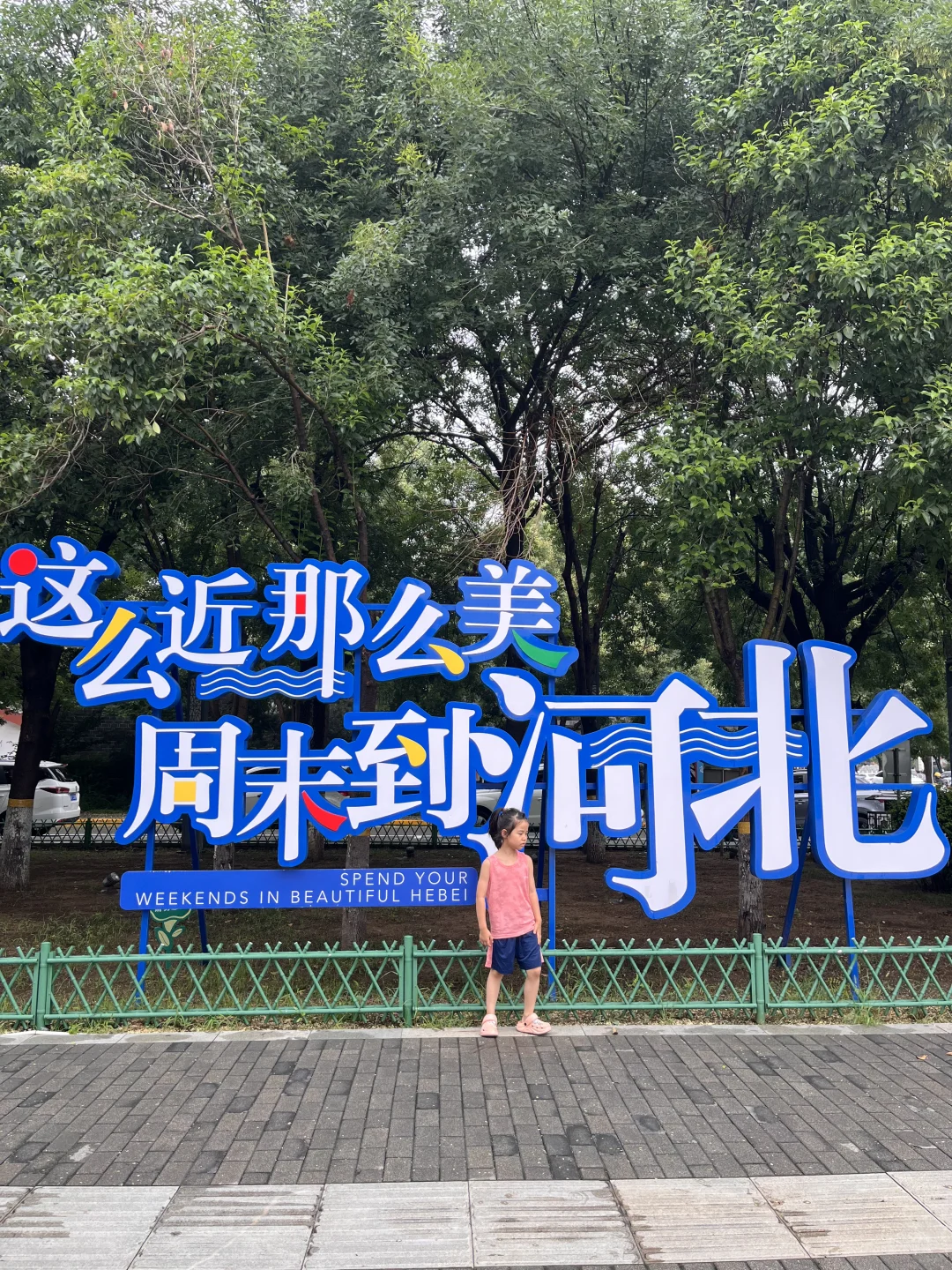 走进语文课本：白洋淀芦苇荡荷花让人震撼！
