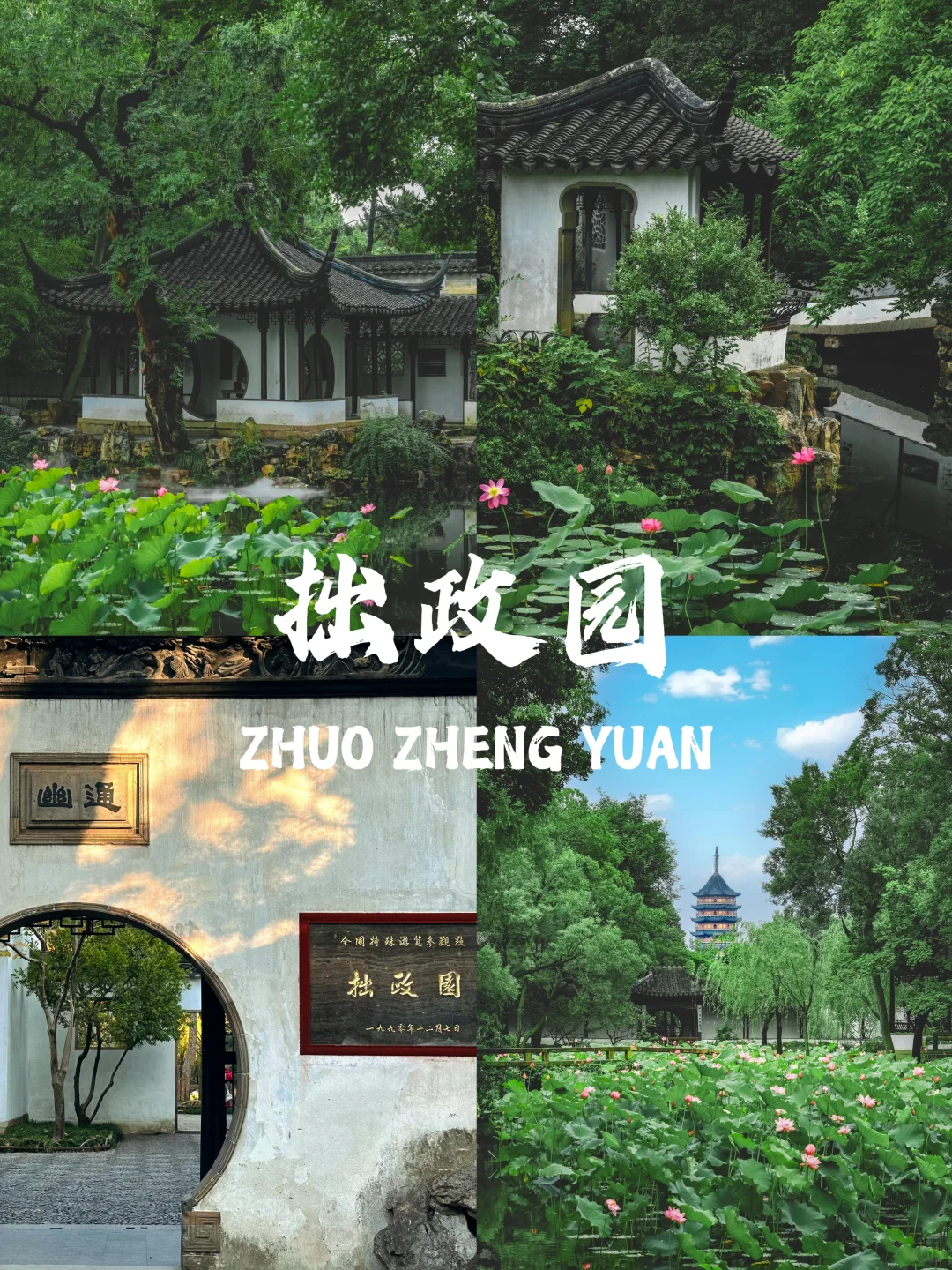 【江苏篇-苏州】“都道姑苏好，此地最江南”