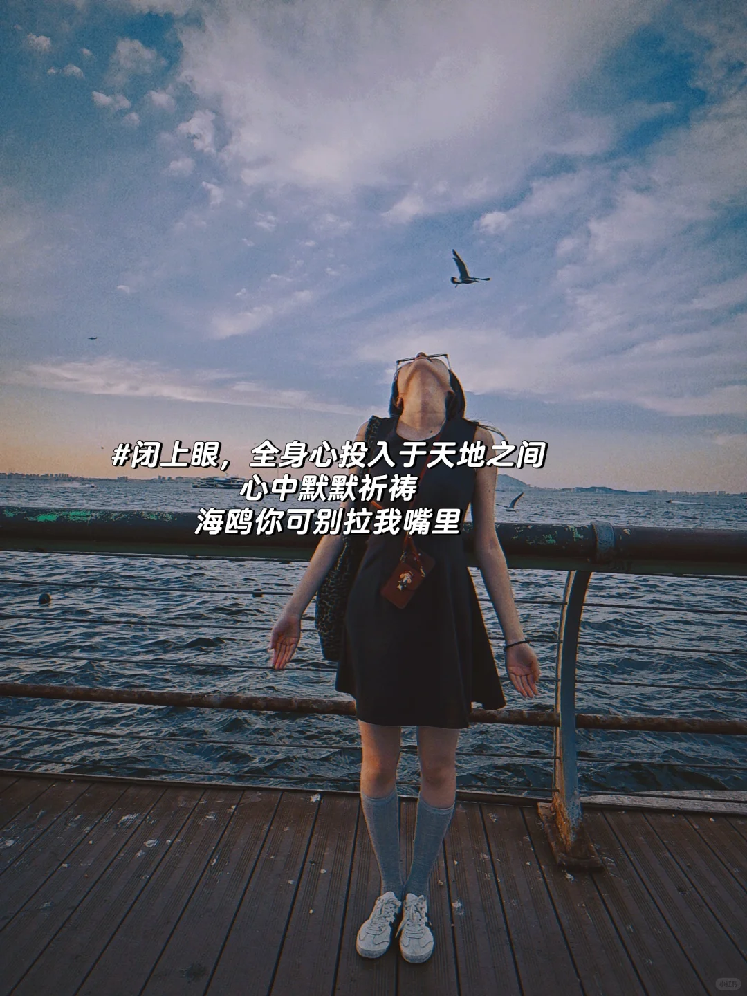 拿去抄 | Infj做的大连旅行攻略