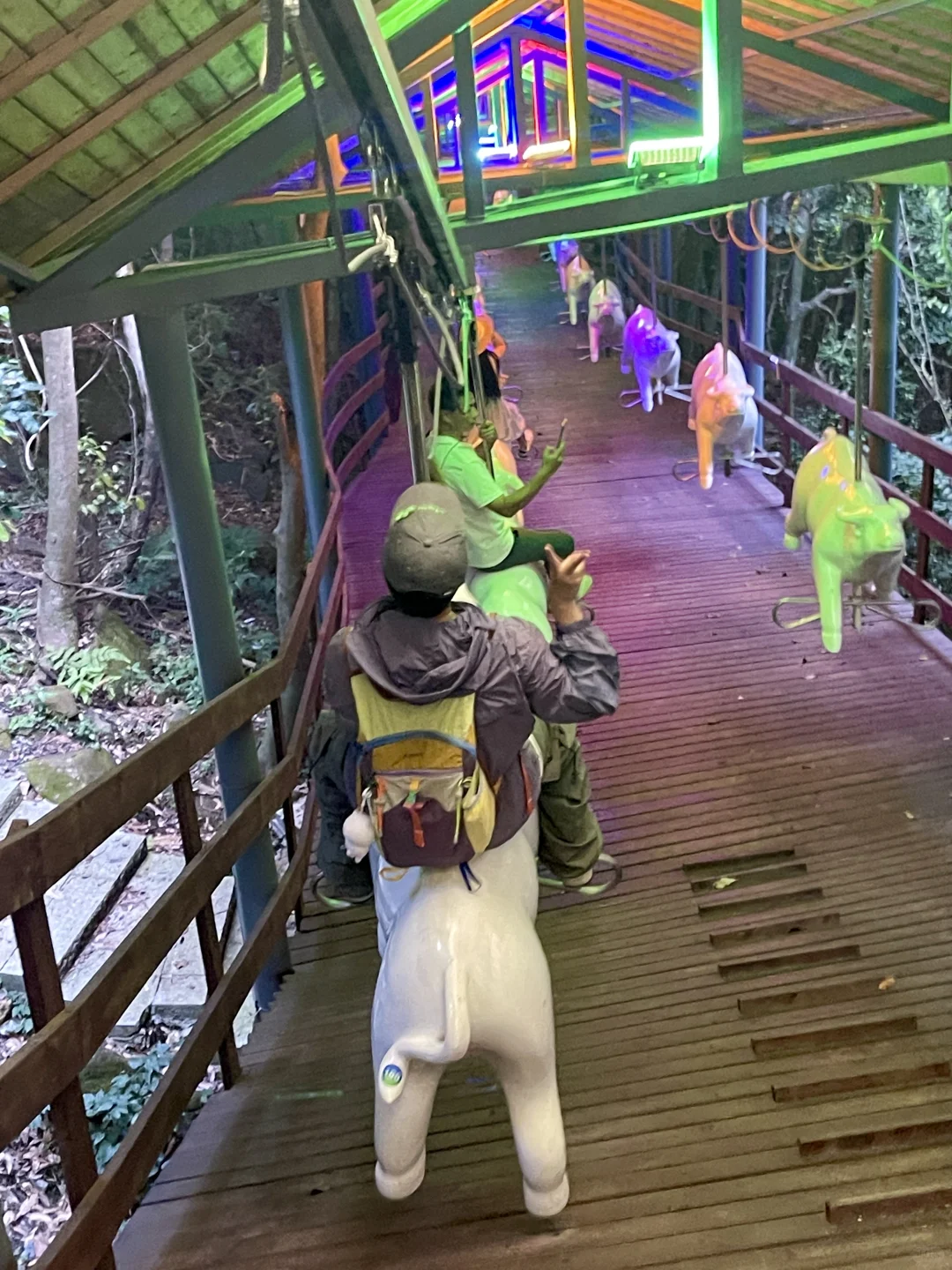 在福建！！在福建！！发现了现实版绿野仙踪🍃