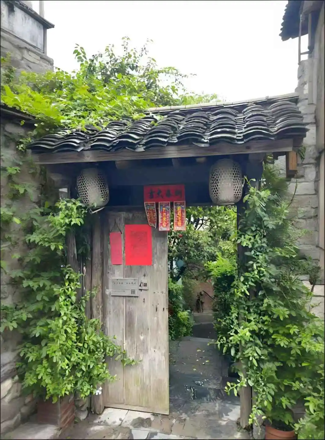 清远桃花景区旁🌸 喝茶避暑｜舒服的不想走