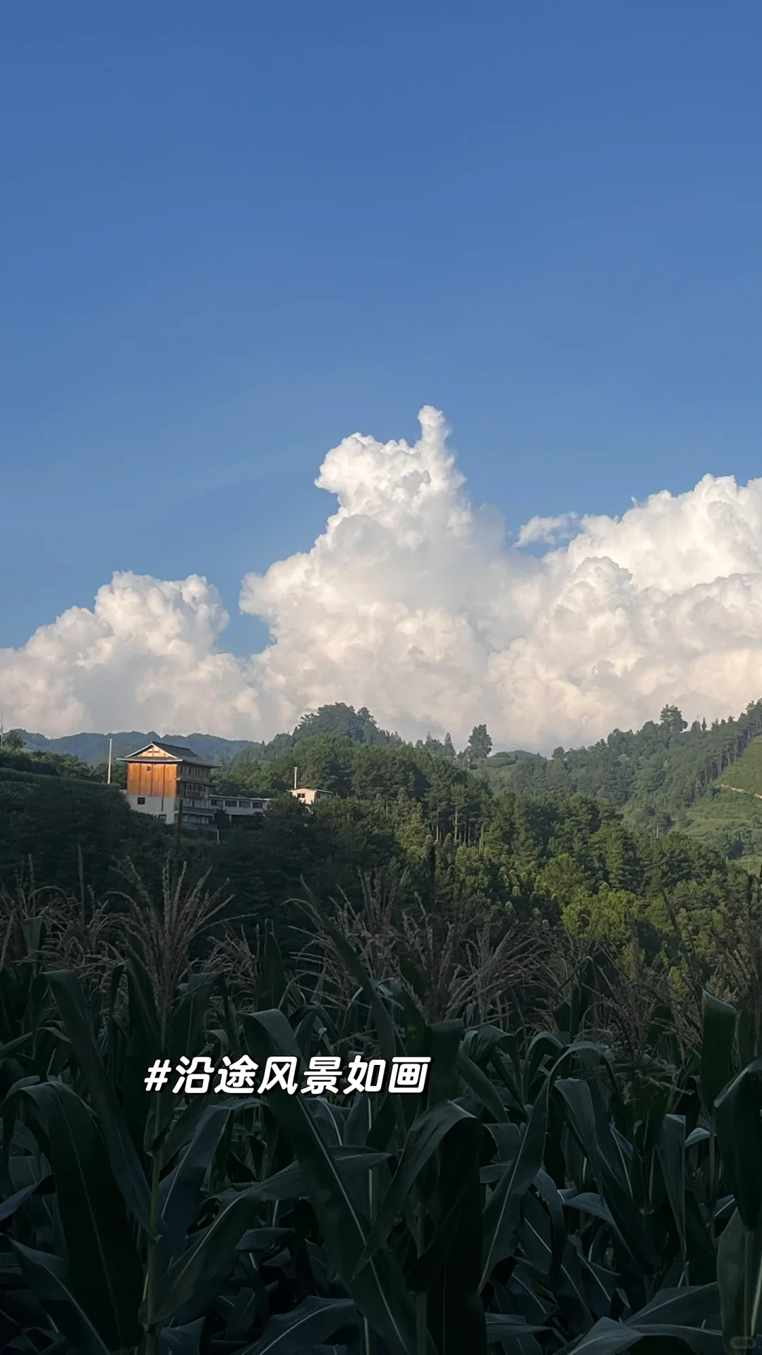 在国内旅游，真的需要有非常强大的屏蔽力