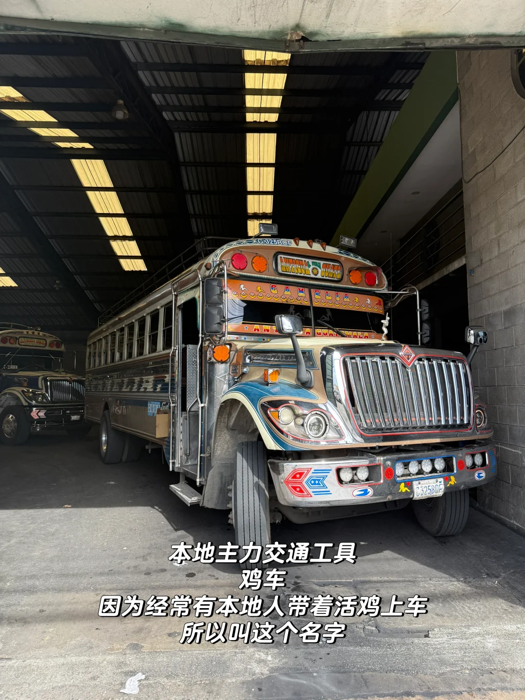 22岁 一个人背包旅行第61国 危地马拉🇬🇹