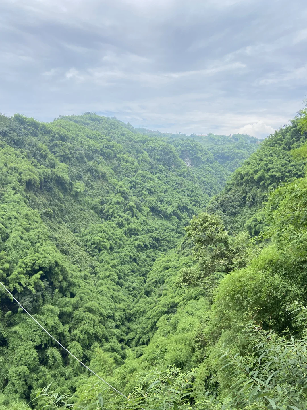 川西竹海的绿野仙踪🎋滑道、玩水（附攻略）