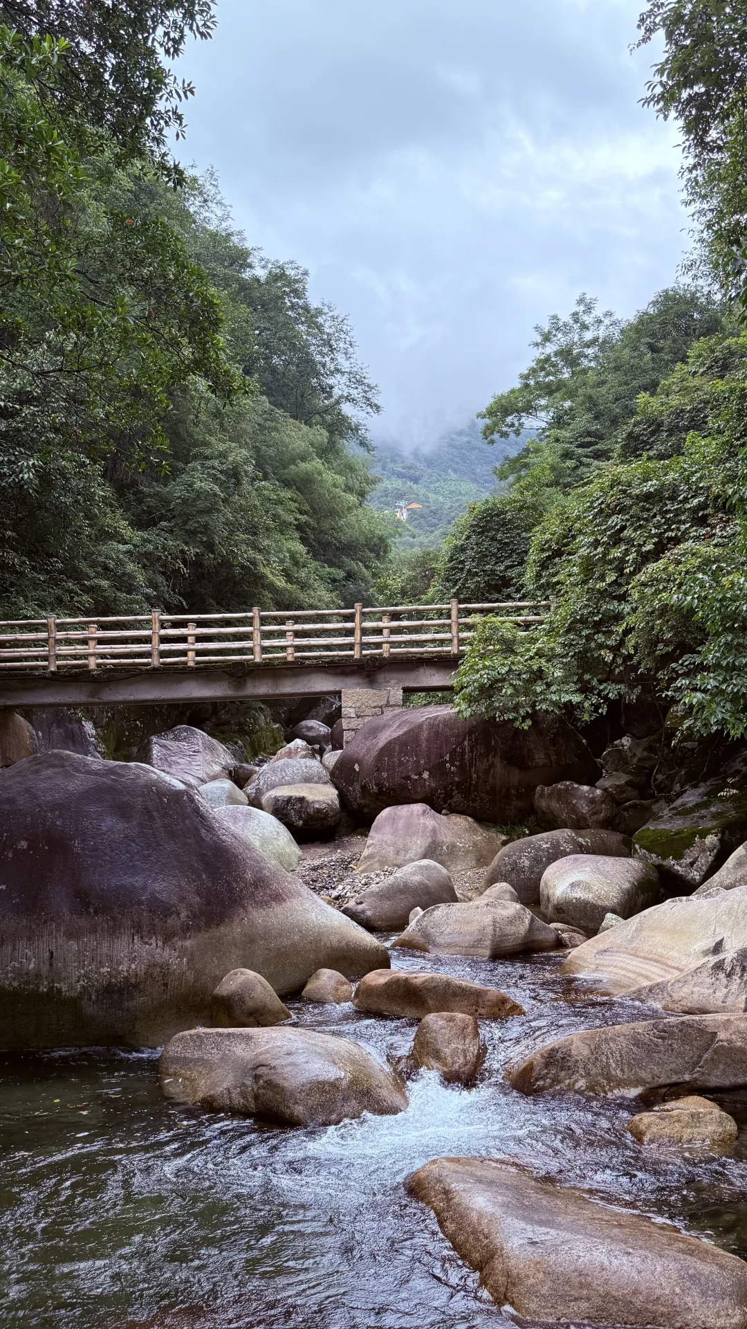 🌿武汉出发婺源保姆级攻略｜照着玩不踩雷！