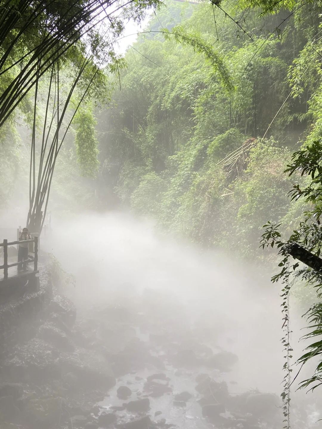 川西竹海的绿野仙踪🎋滑道、玩水（附攻略）
