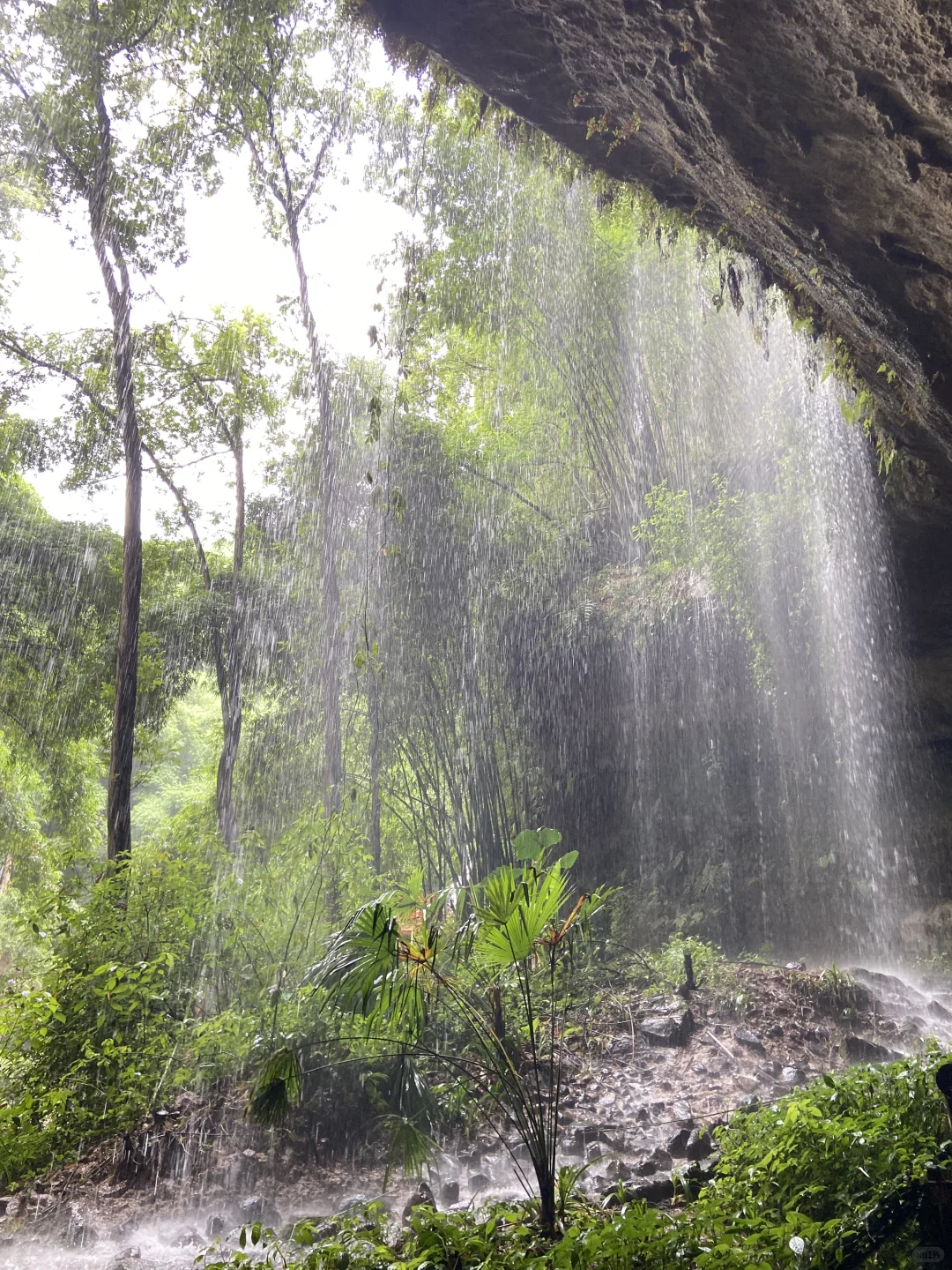 川西竹海的绿野仙踪🎋滑道、玩水（附攻略）