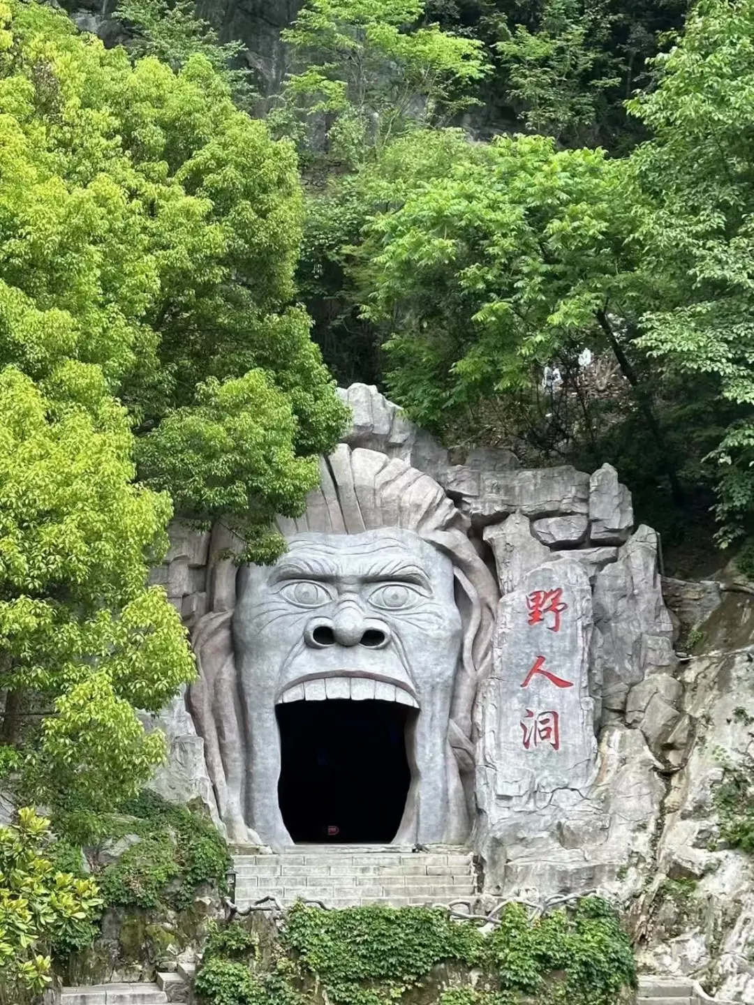 夏日限定 🍃神农架徒步避世指南🧭