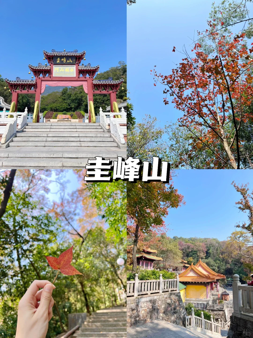 🔥江门必玩八大景点‼️出发前看这篇就够了🥰