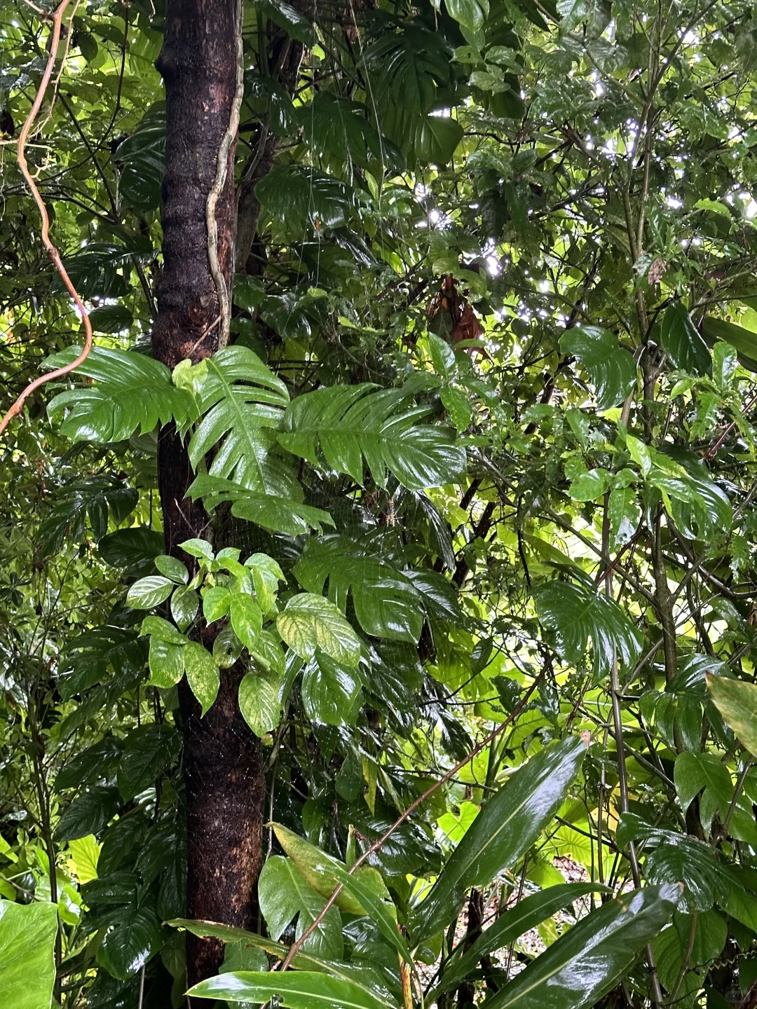 🧩碎碎念无保留分享冲绳旅游攻略😆