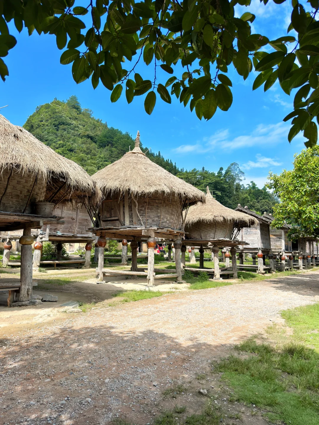 ✈️5个适合7-8月夏天避暑旅行地，你去了几个