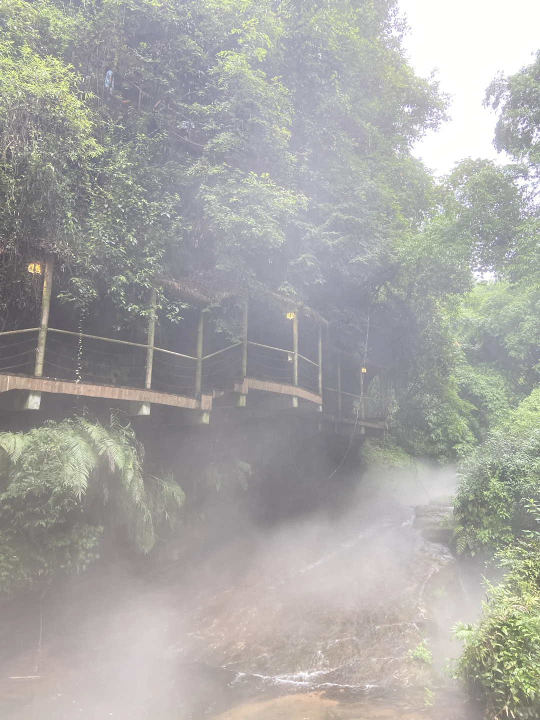 川西竹海的绿野仙踪🎋滑道、玩水（附攻略）