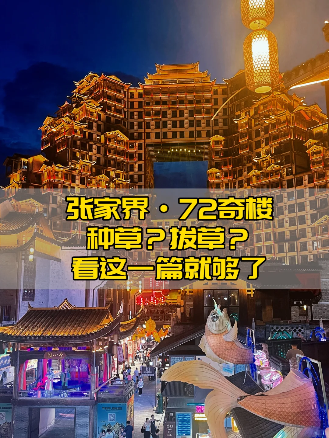 72奇楼，种草？拔草？看这一篇就够了