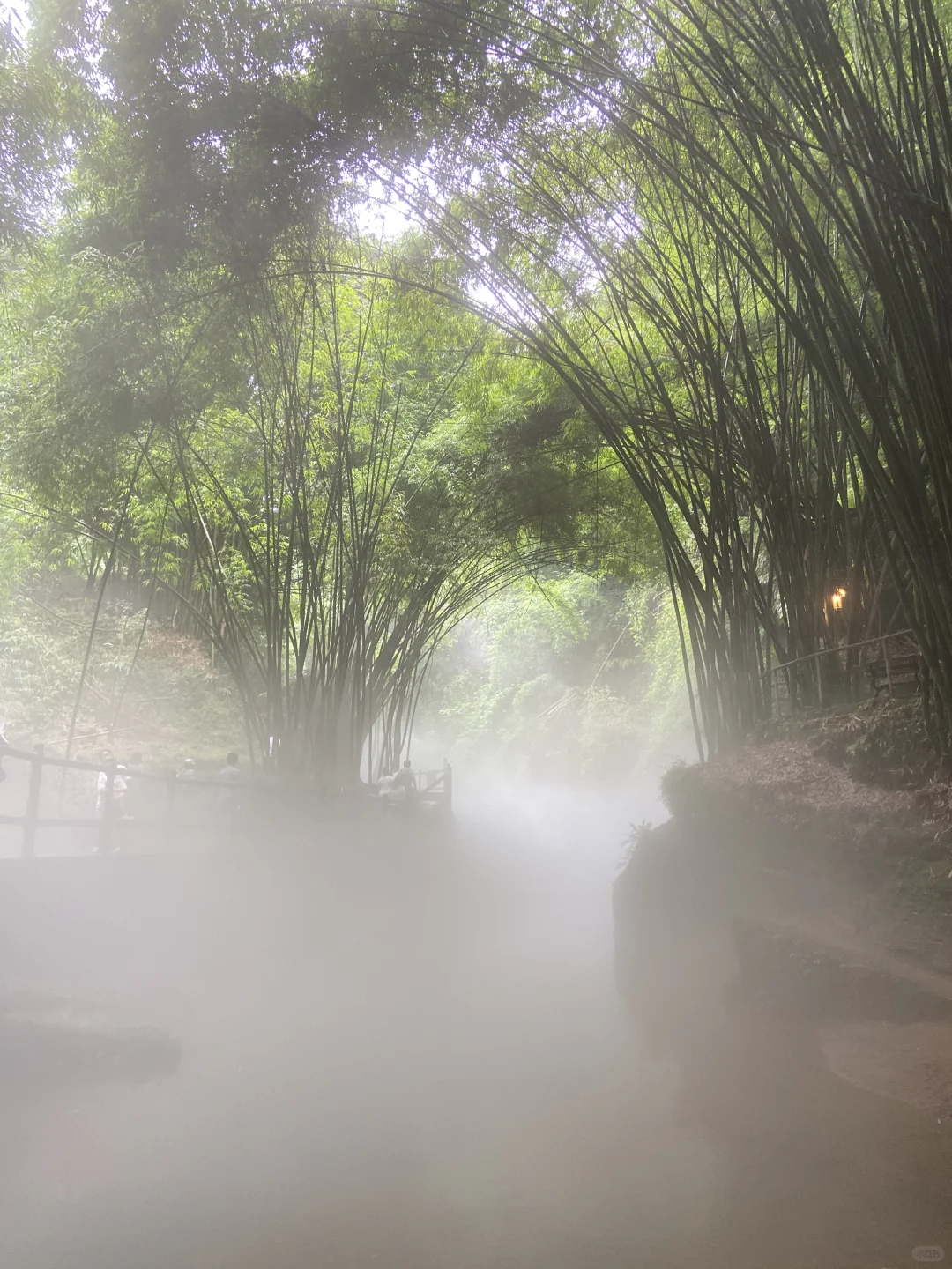 川西竹海的绿野仙踪🎋滑道、玩水（附攻略）
