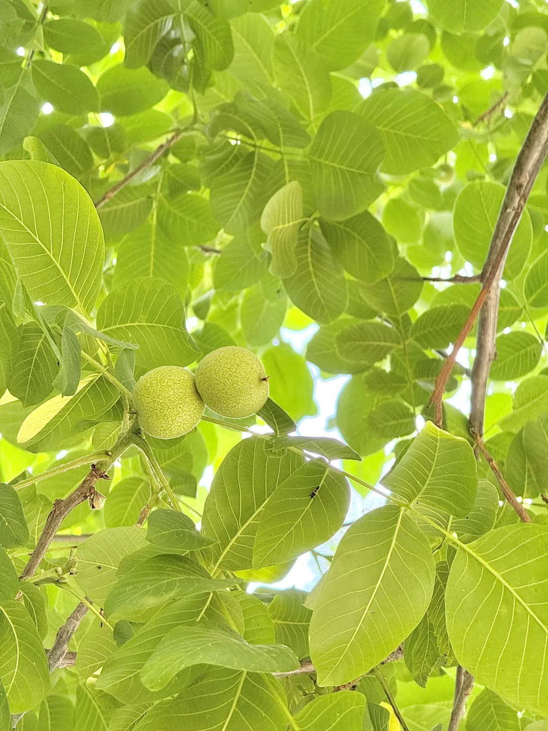 打卡邯郸小众人少又很好玩的地方！
