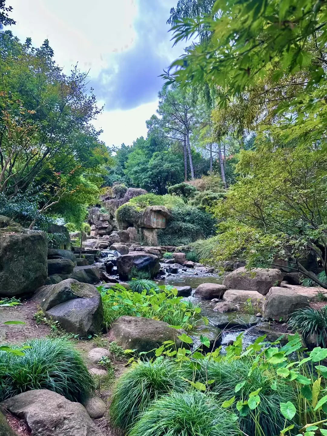 救命！哈尔滨居然藏着这么神仙的爬山地！