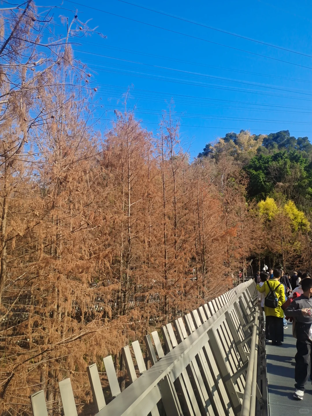 大年初三第二站｜福州福道🚶🏻‍♂️