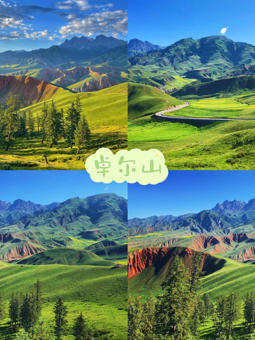 5-8月|青海3日游🚩精品纯玩小团🍻
