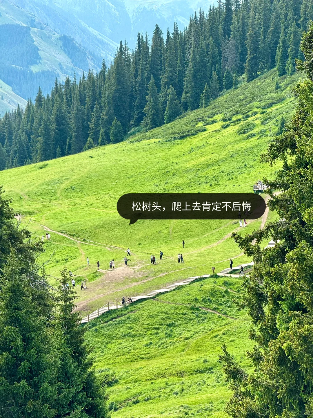新疆伊犁已回，10天9晚自用舒适行程分享