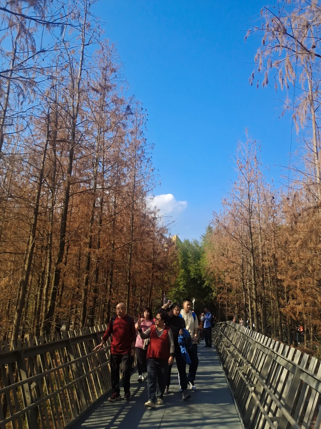 大年初三第二站｜福州福道🚶🏻‍♂️