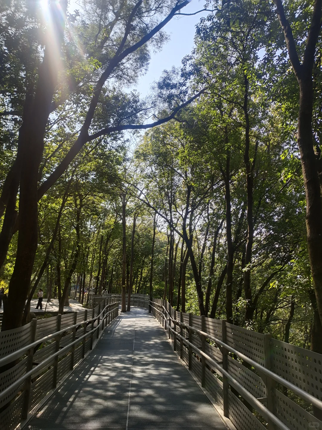 大年初三第二站｜福州福道🚶🏻‍♂️