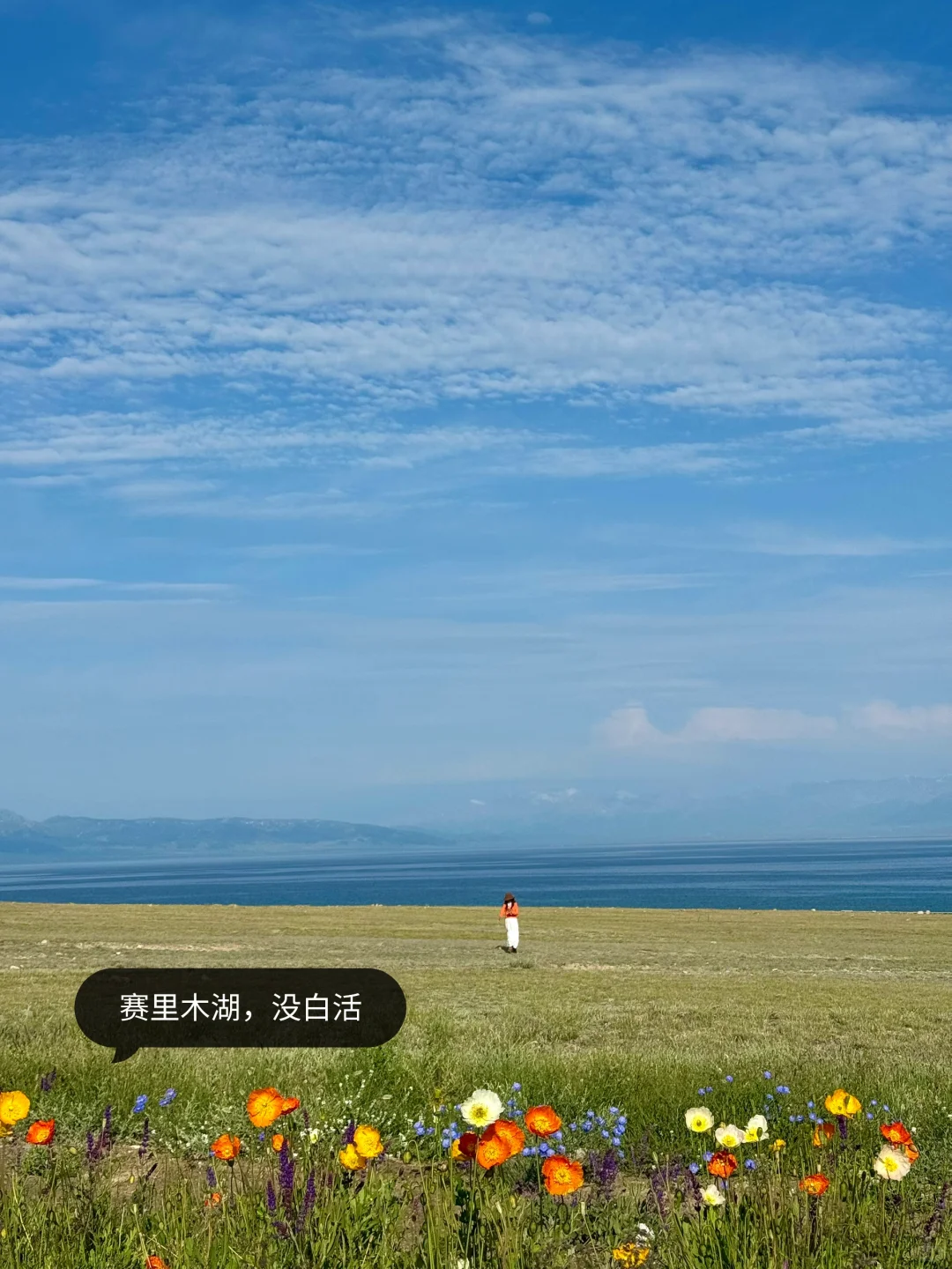 新疆伊犁已回，10天9晚自用舒适行程分享