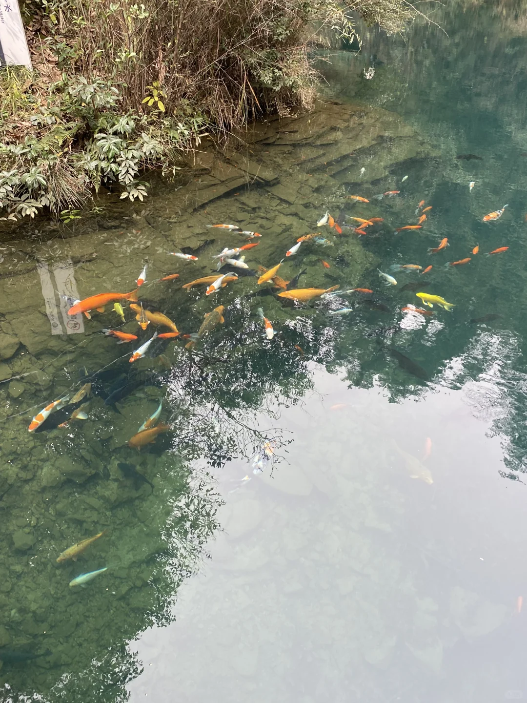 看图猜景点