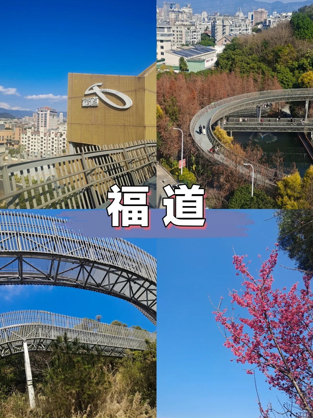 大年初三第二站｜福州福道🚶🏻‍♂️