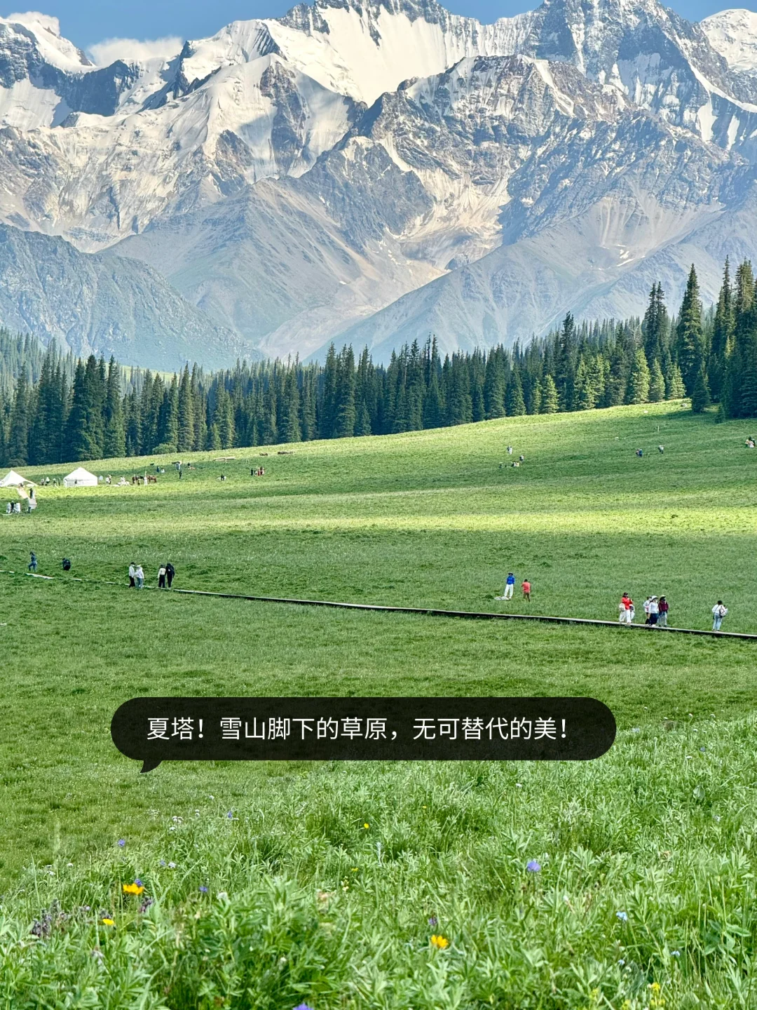 新疆伊犁已回，10天9晚自用舒适行程分享