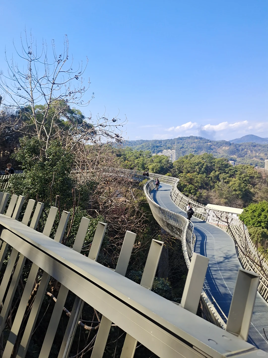 大年初三第二站｜福州福道🚶🏻‍♂️