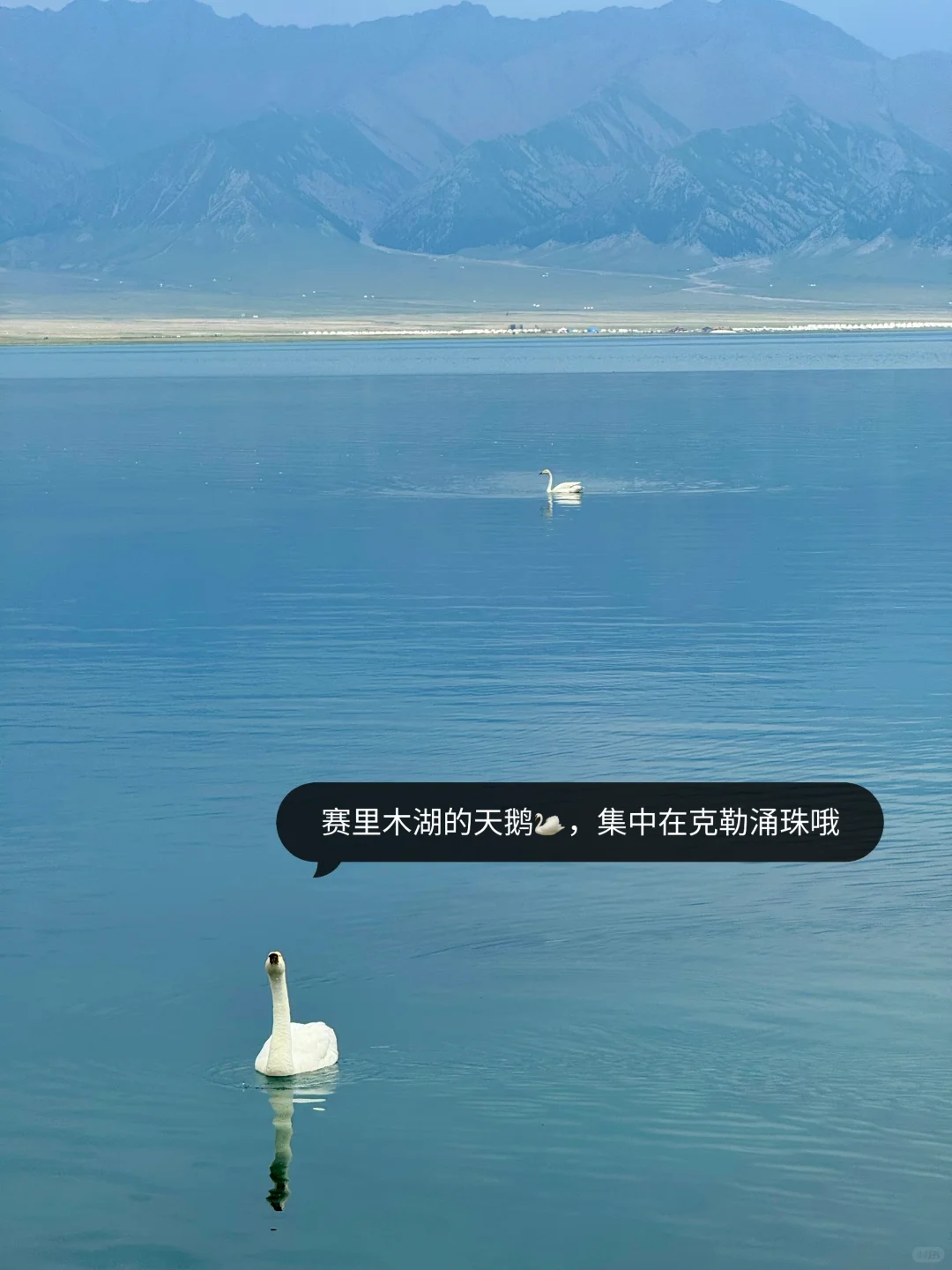 新疆伊犁已回，10天9晚自用舒适行程分享