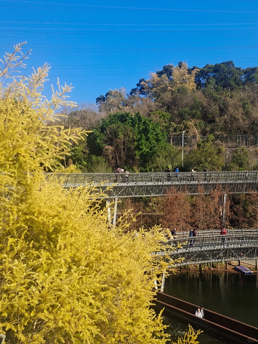 大年初三第二站｜福州福道🚶🏻‍♂️