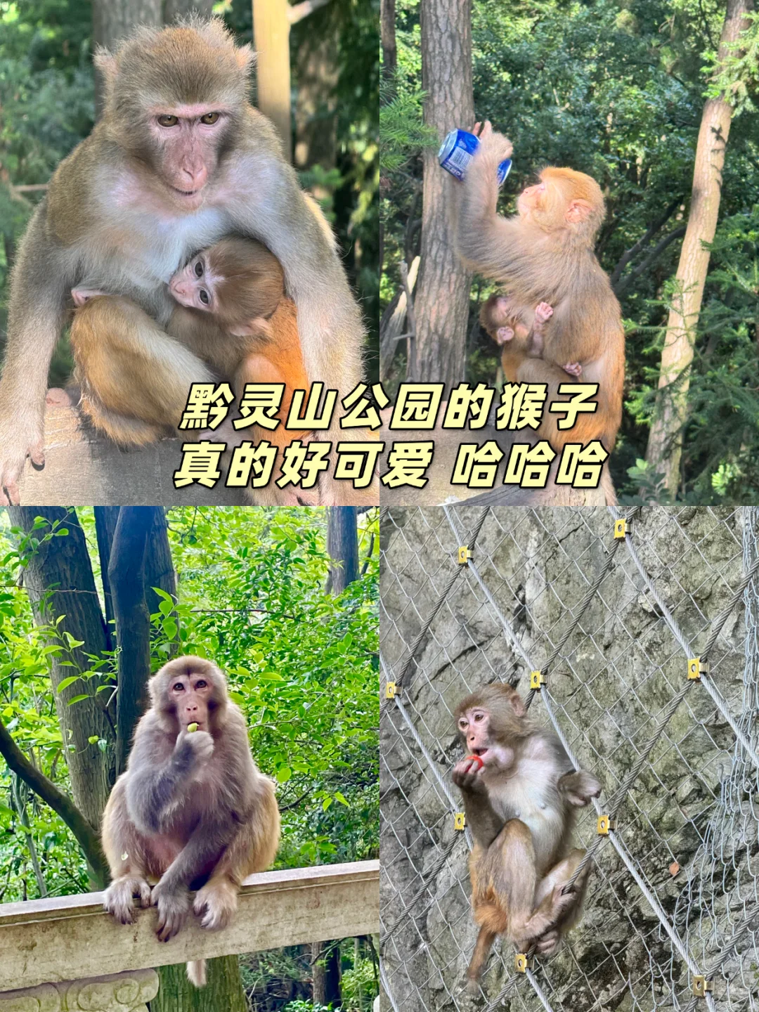 j人手做的贵州旅游攻略，也太保姆级了吧！