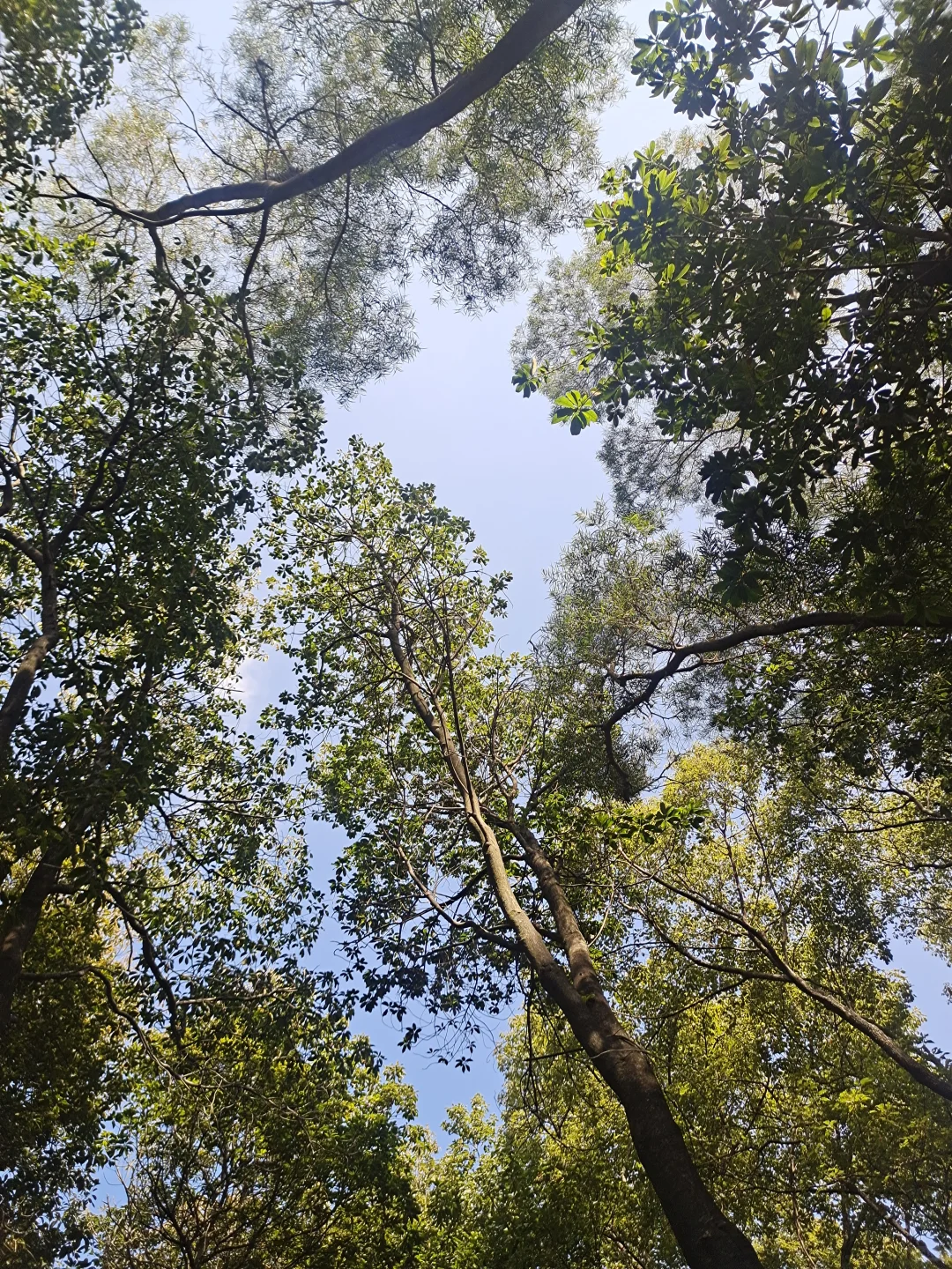 大年初三第二站｜福州福道🚶🏻‍♂️