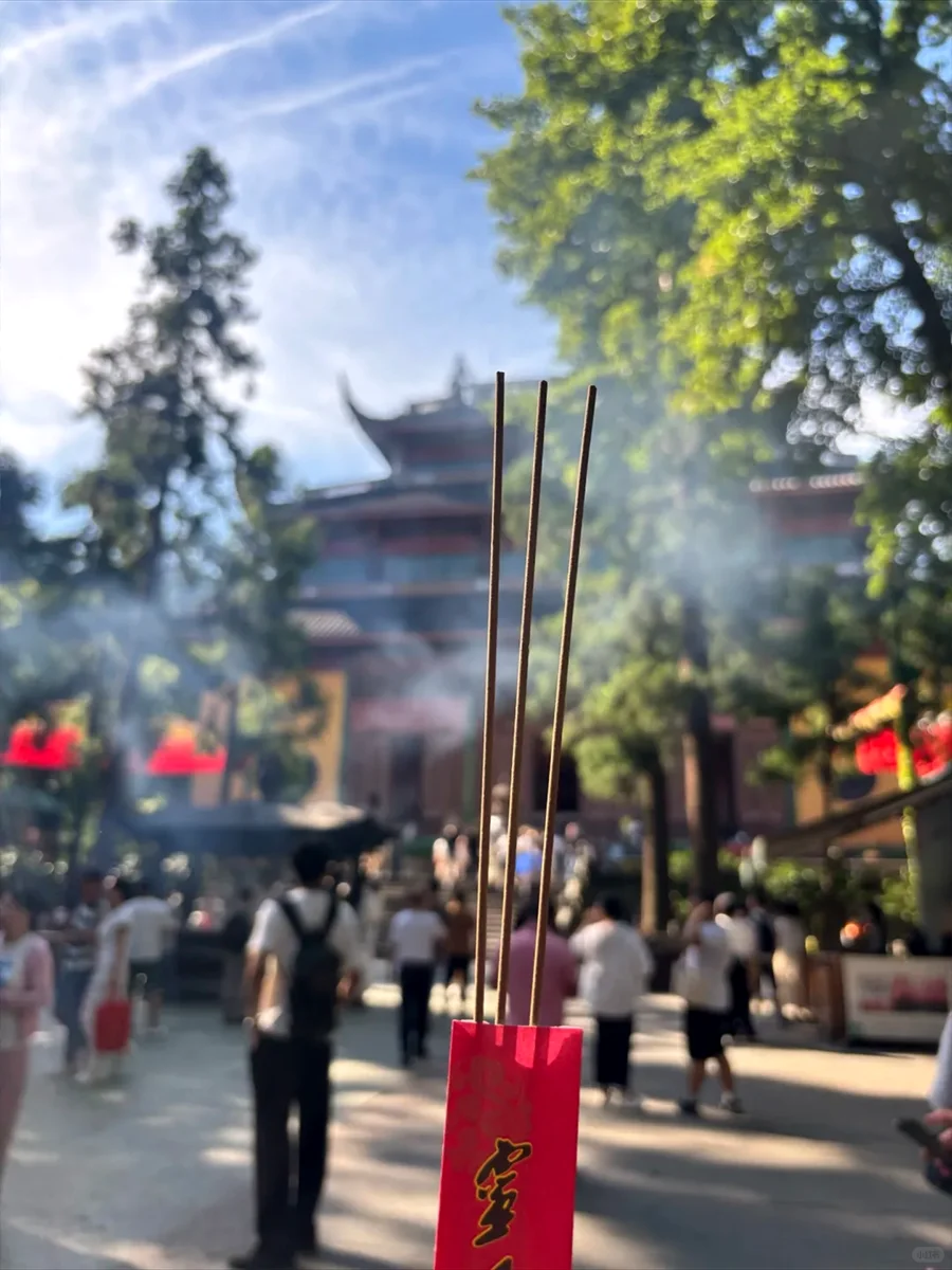 杭州暴走一日游｜24小时极限挑战