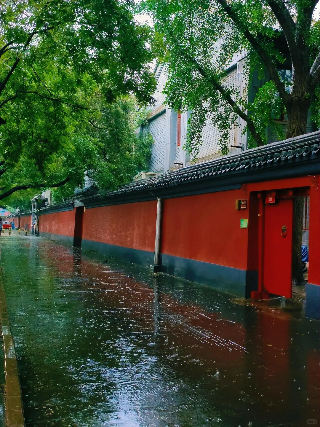 北京暴雨红色预警！景区全关？我还能干什么