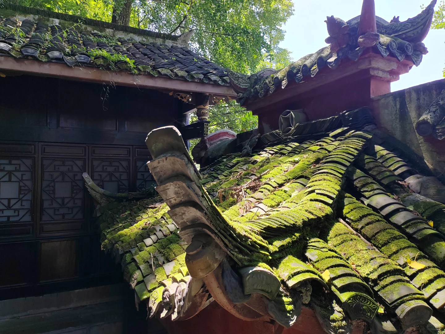都江堰景区