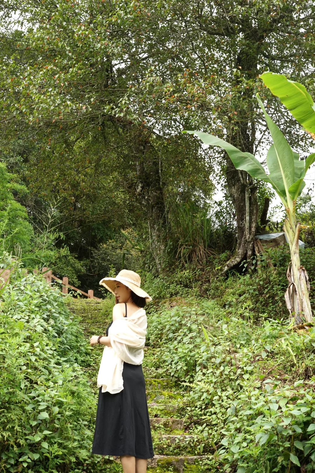 旅行｜景迈山｜被森林环绕的乌托邦