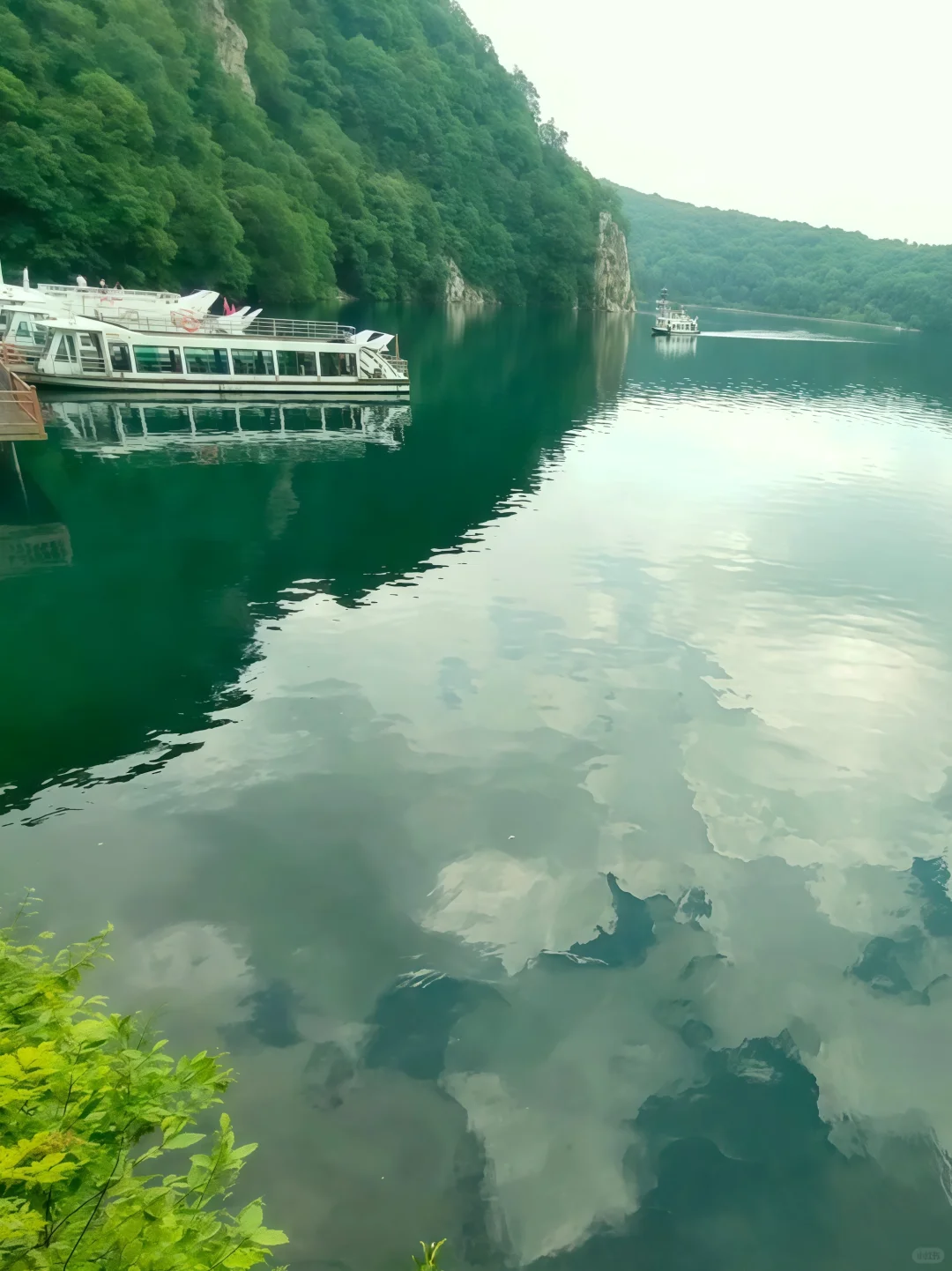 龙湾群景区旅游指南｜听劝‼️避暑胜地必冲